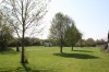 Thumbs/tn_Img_0273.jpg