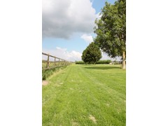 site2012-07-05 (15)