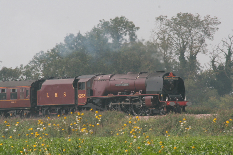 train